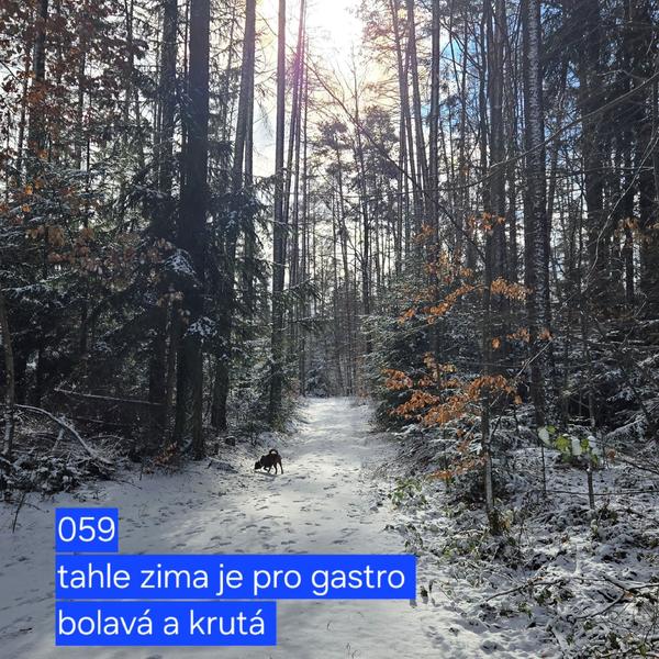 Gastromapa Lukáše Hejlíka 111
